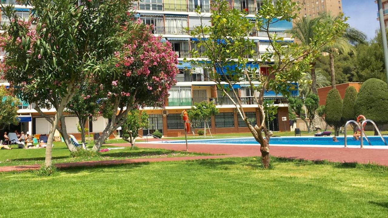 Beach Studio Apartment Hannibal La Cala Finestrat בנידורם מראה חיצוני תמונה