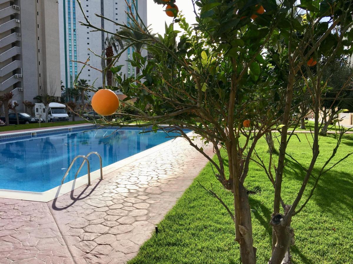 Beach Studio Apartment Hannibal La Cala Finestrat בנידורם מראה חיצוני תמונה