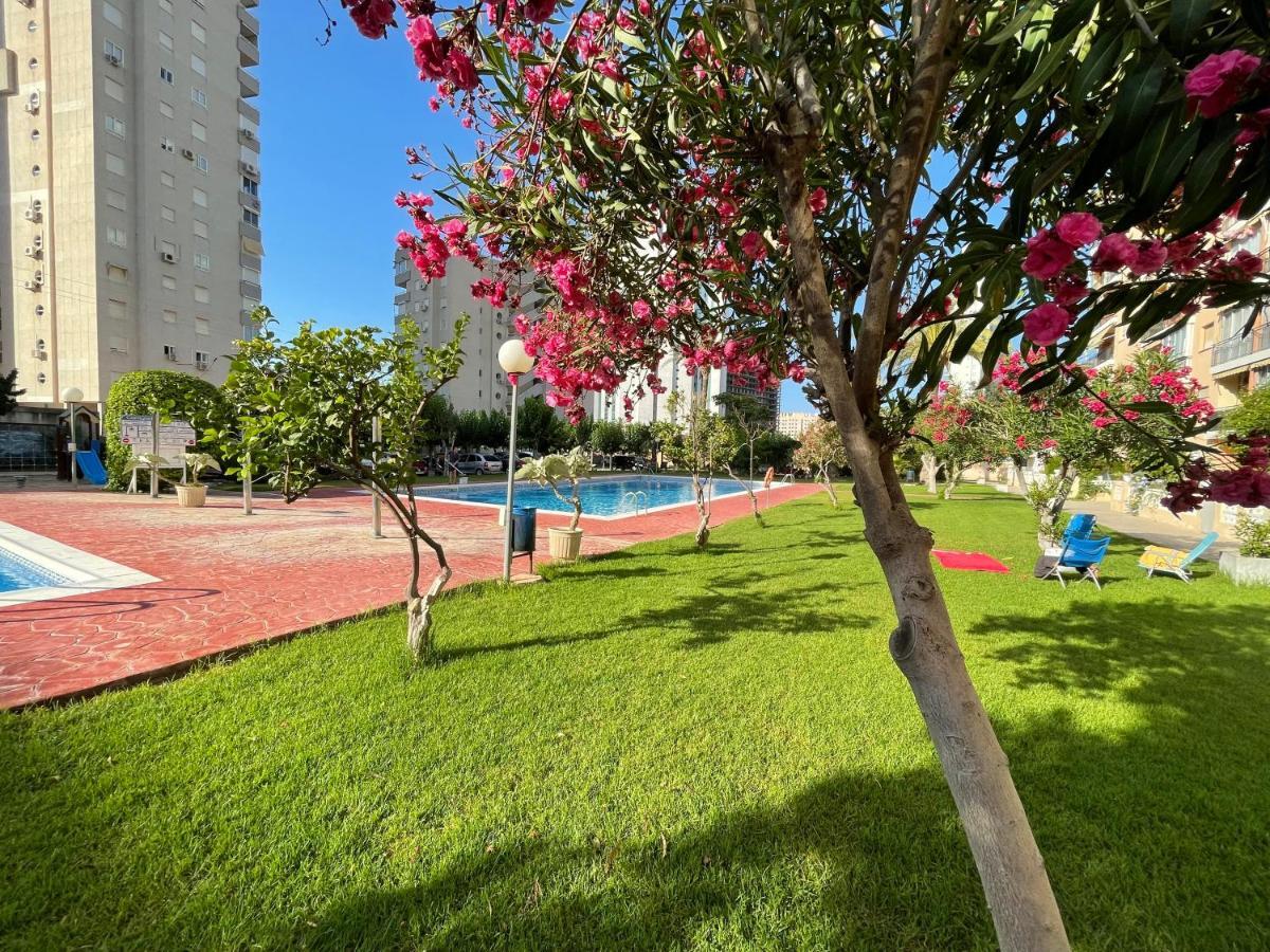 Beach Studio Apartment Hannibal La Cala Finestrat בנידורם מראה חיצוני תמונה