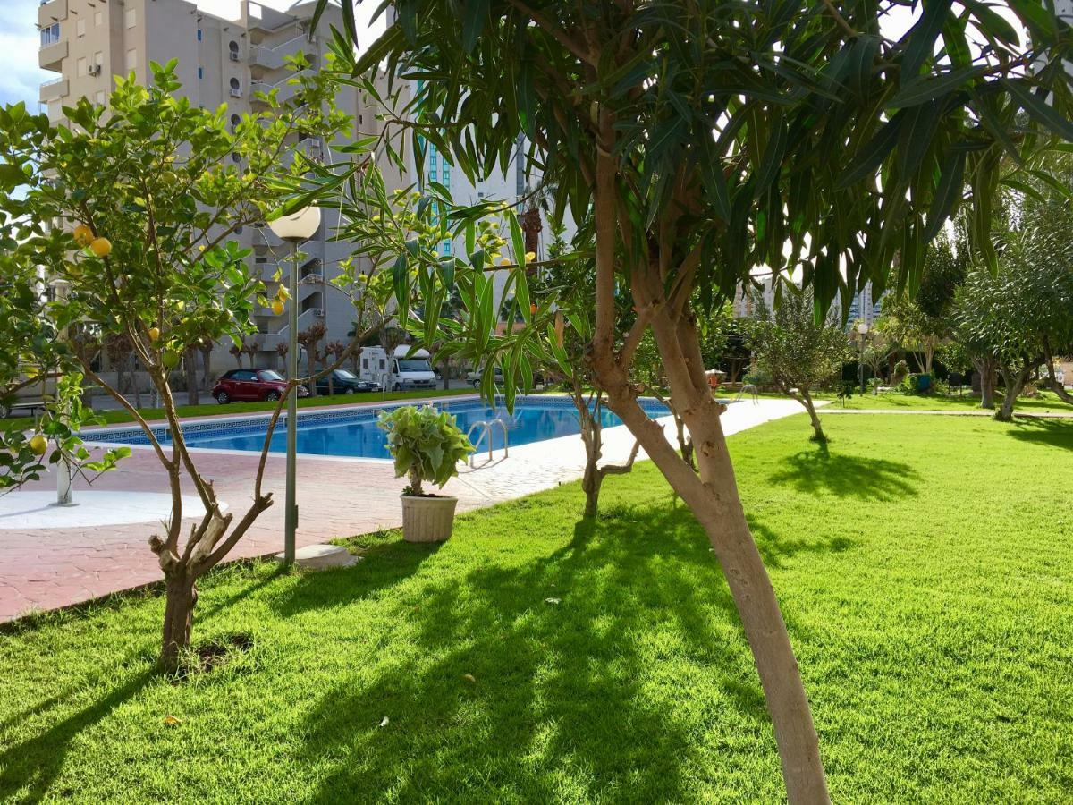Beach Studio Apartment Hannibal La Cala Finestrat בנידורם מראה חיצוני תמונה